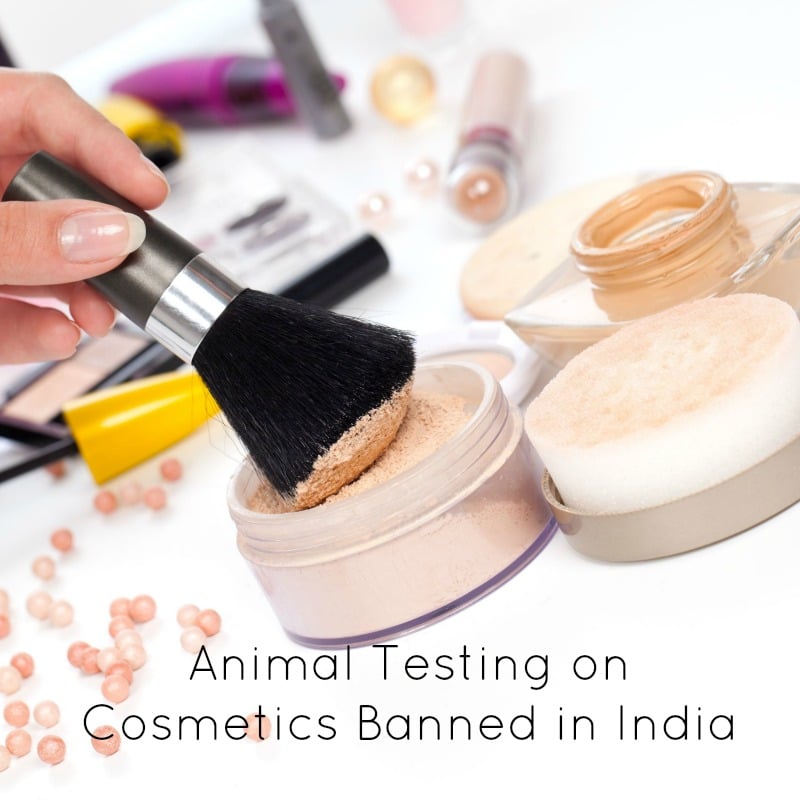 Animal Testing on Cosmetics Banned in India