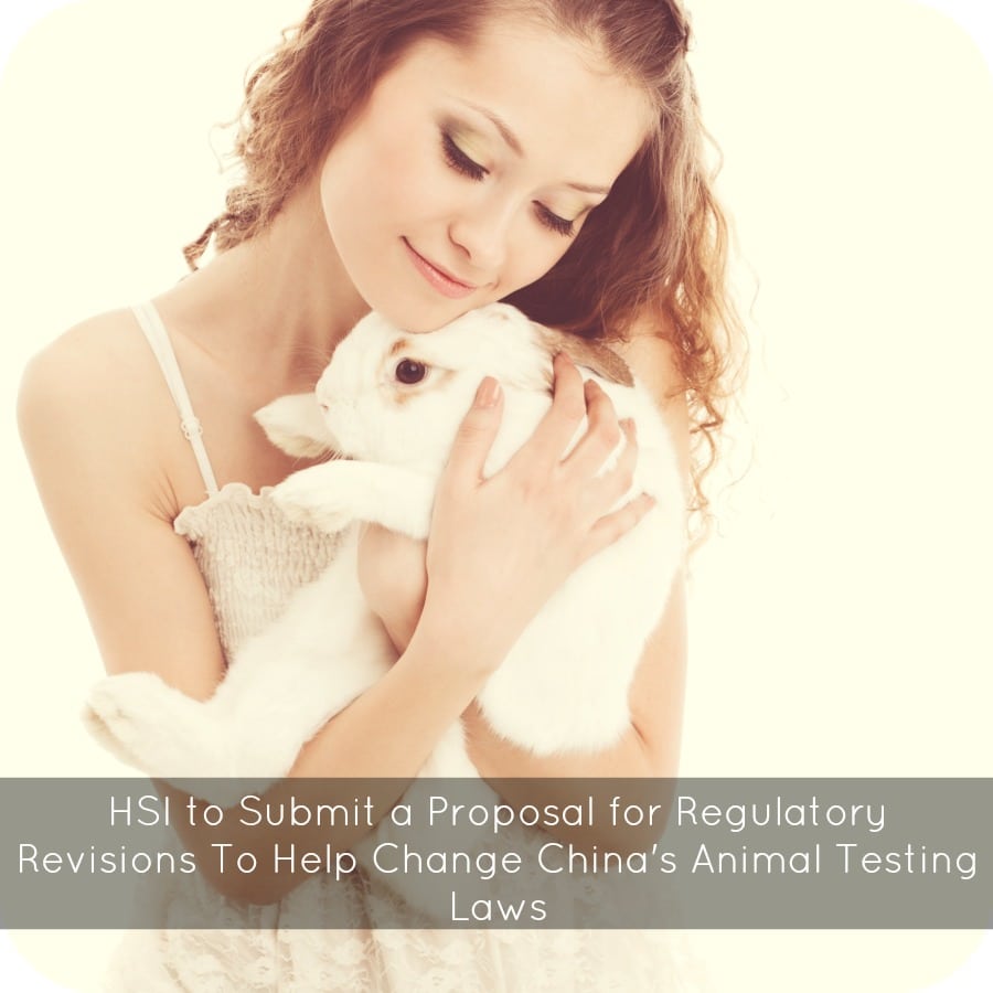 HSI to Submit a Proposal for Regulatory Revisions To Help Change China's Animal Testing Laws