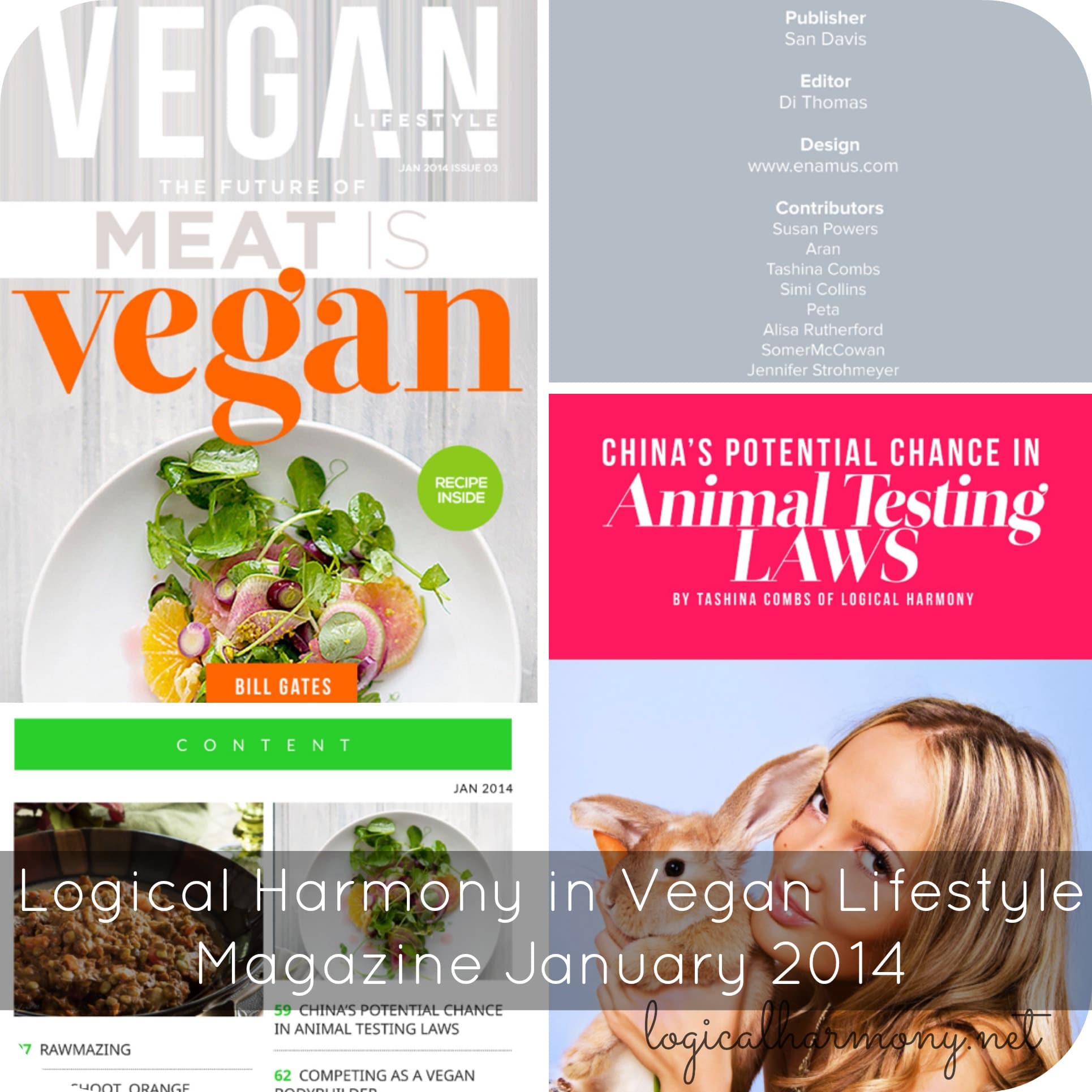 Logical Harmony in Vegan Lifestyle Magazine - January 2014