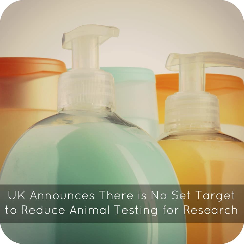 UK Announces There is No Set Target to Reduce Animal Testing for Research