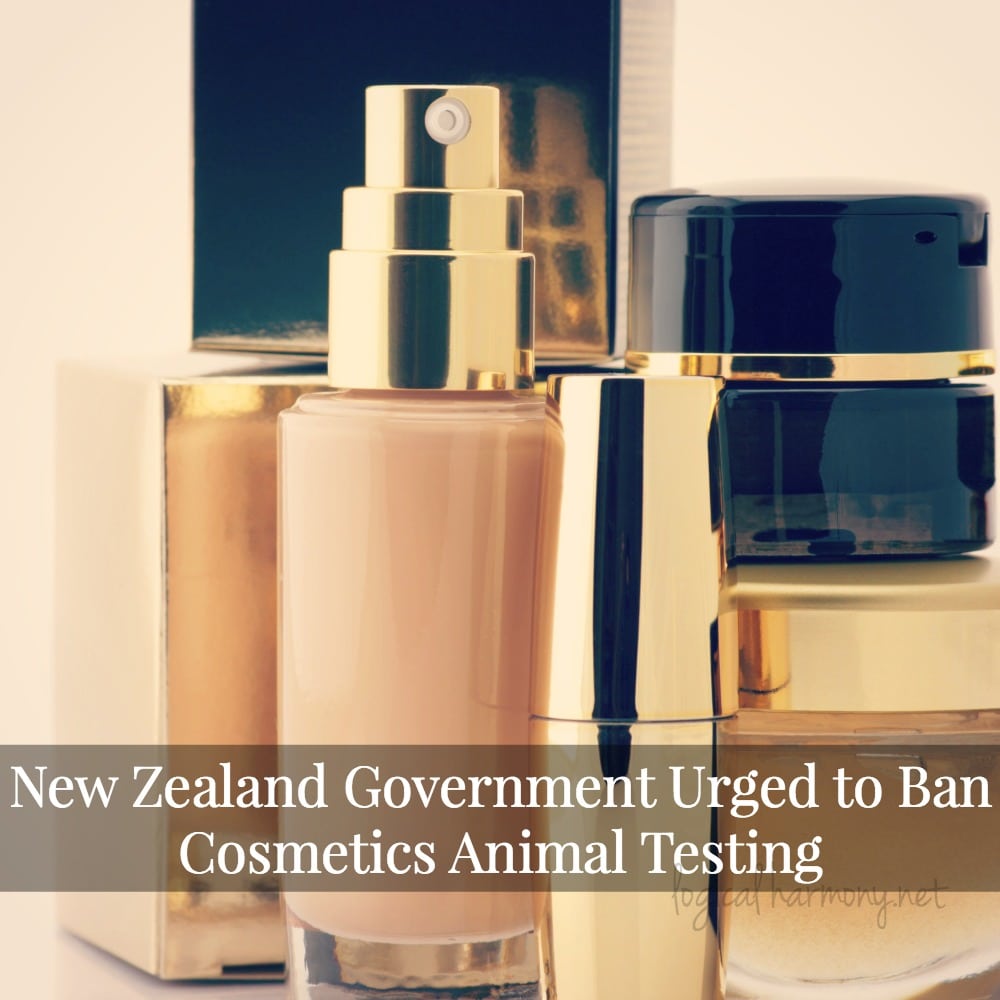 New Zealand Government Urged to Ban Cosmetics Animal Testing