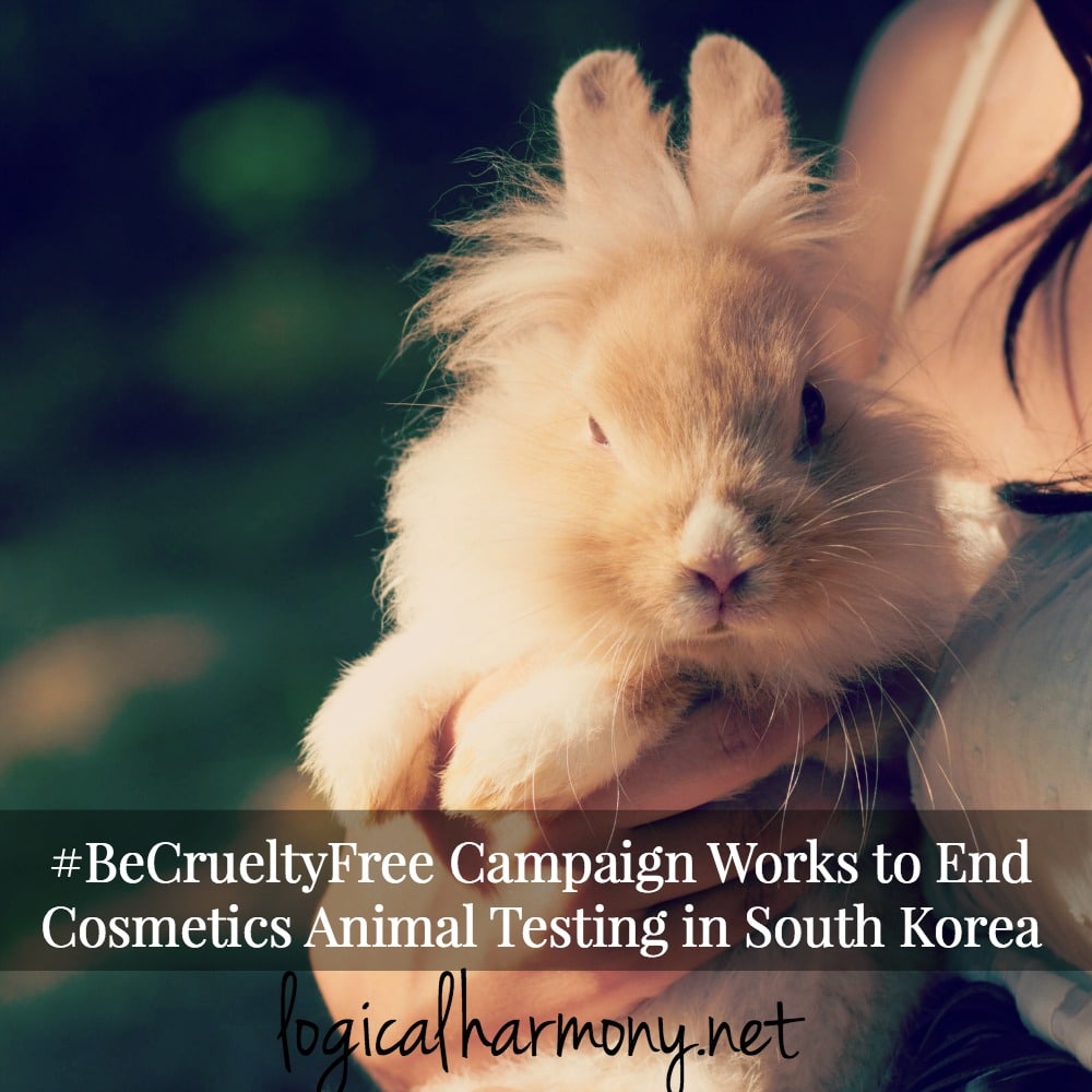 BeCrueltyFree Campaign Works to End Cosmetics Animal Testing in South Korea  - Logical Harmony