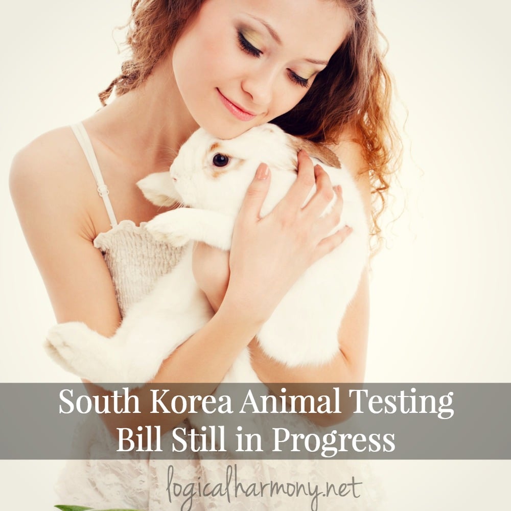 South Korea Animal Testing Bill Still in Progress