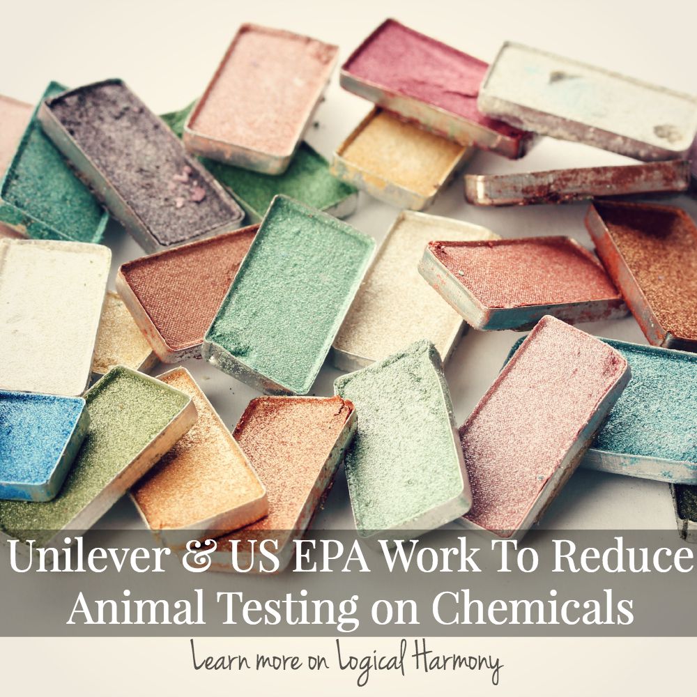 Unilever & US EPA Work To Reduce Animal Testing on Chemicals