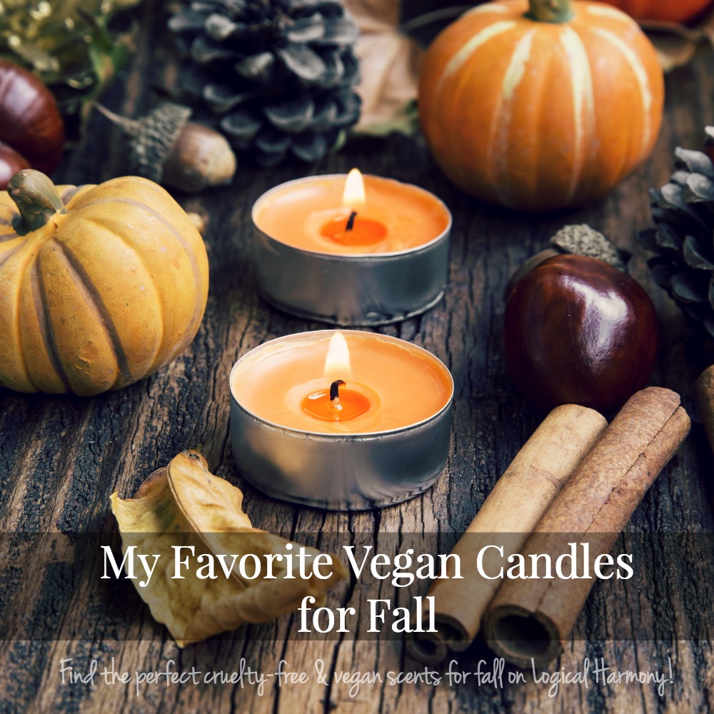 My Favorite Vegan Candles for Fall