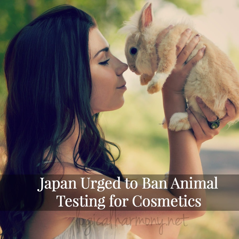 Japan Urged to Ban Animal Testing for Cosmetics