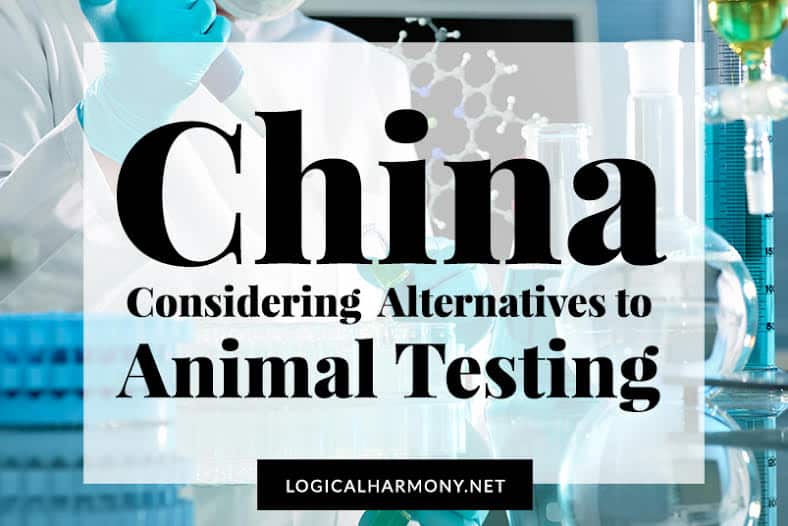 China Considering Alternatives to Animal Testing