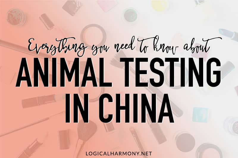 Everything You Need to Know about Animal Testing in China Logical Harmony