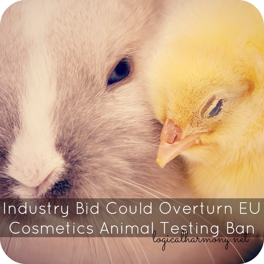Industry Bid Could Overturn EU Cosmetics Animal Testing Ban