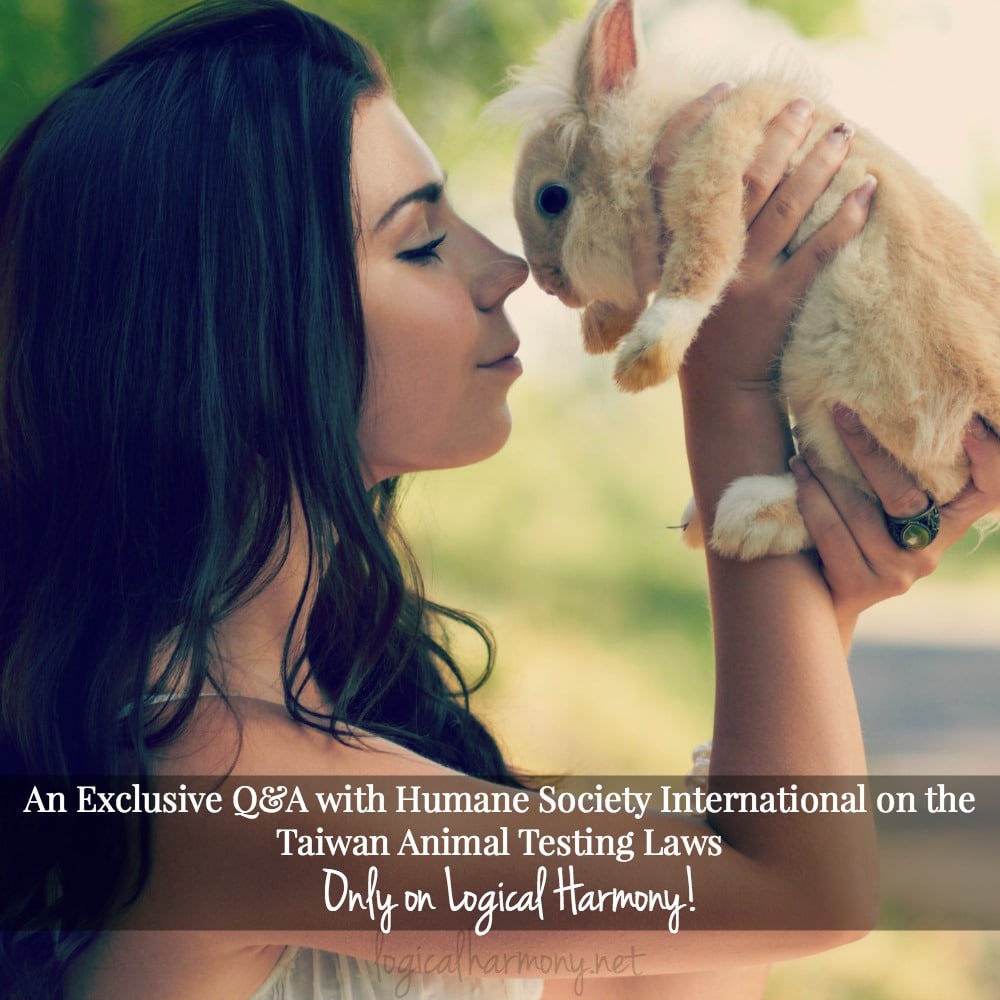 An Exclusive Q&A with Humane Society International on the Taiwan Animal Testing Laws