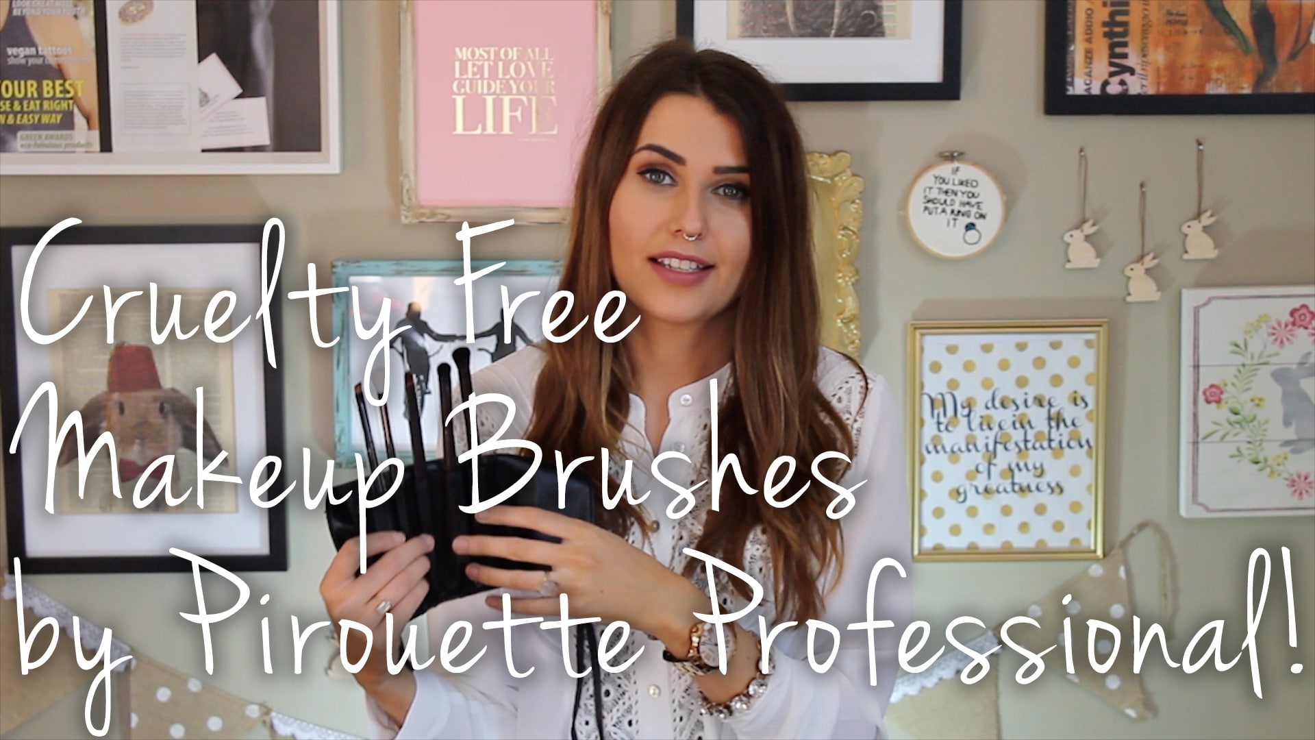 Intro to Pirouette Professional Brushes Video