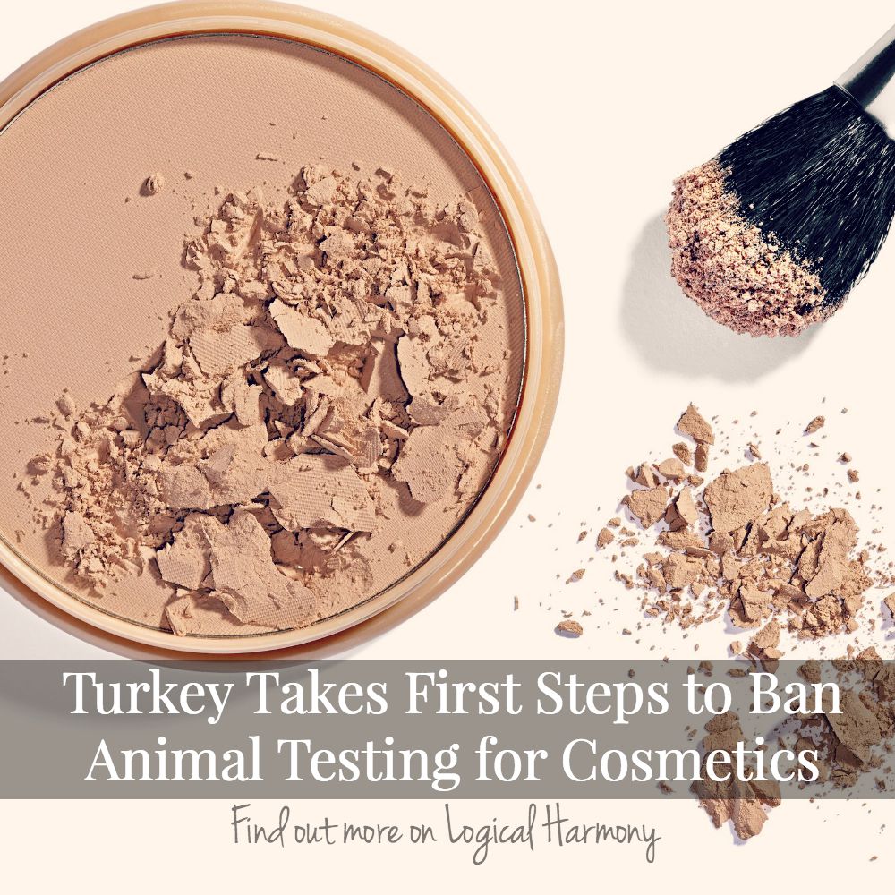 Turkey Takes First Steps to Ban Animal Testing for Cosmetics