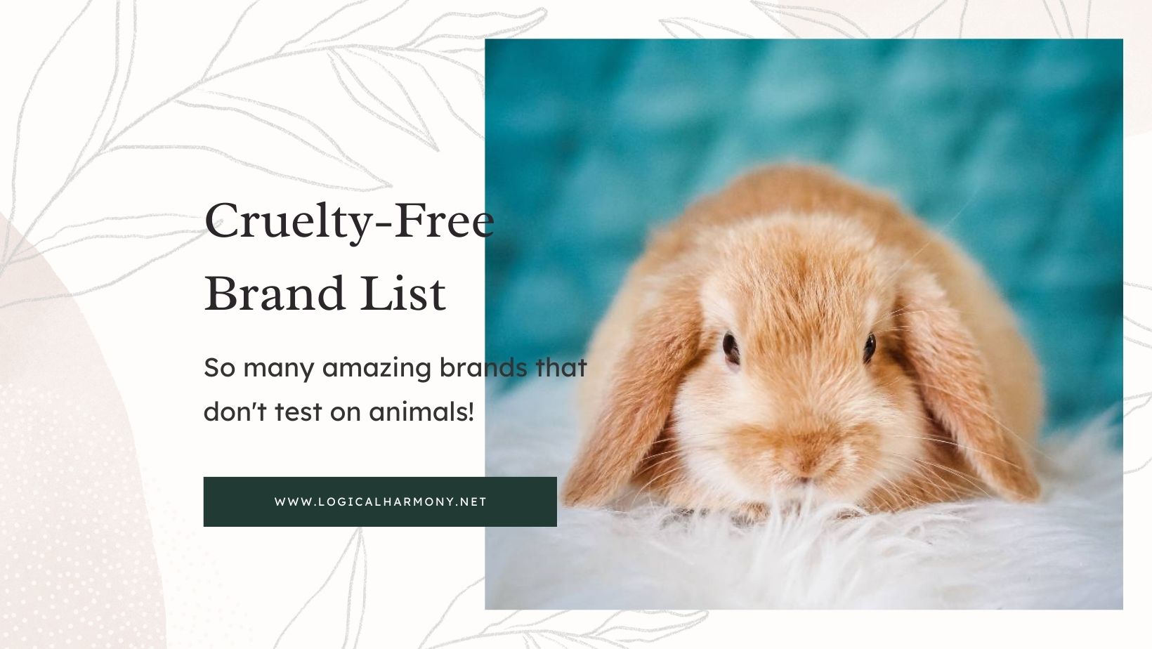Logical Harmony Cruelty-Free Brand List